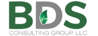 BDS Consulting Group (2)